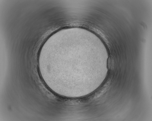 X0000110910673200907091437