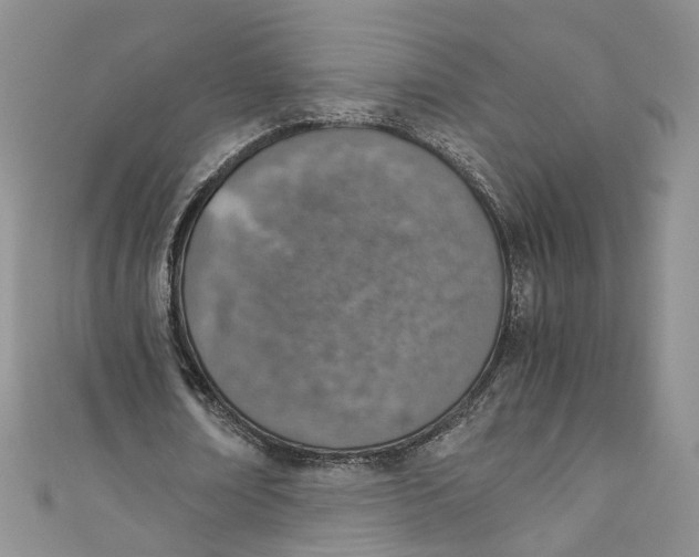 X0000110910674200907091437