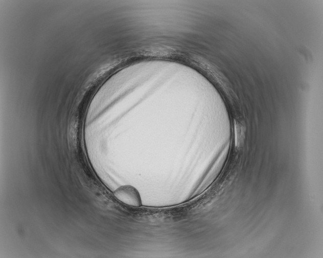 X0000110910675200907091437