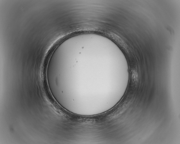 X0000110910676200907091437