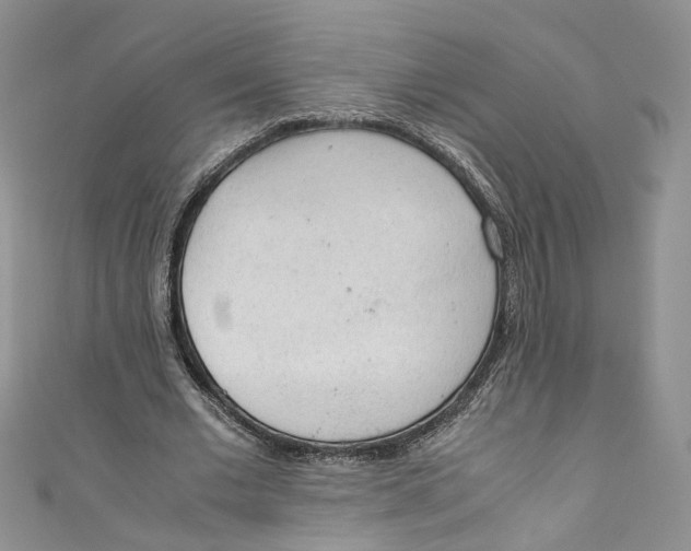 X0000110910677200907091437