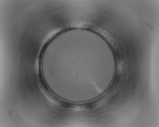 X0000110910678200907091437