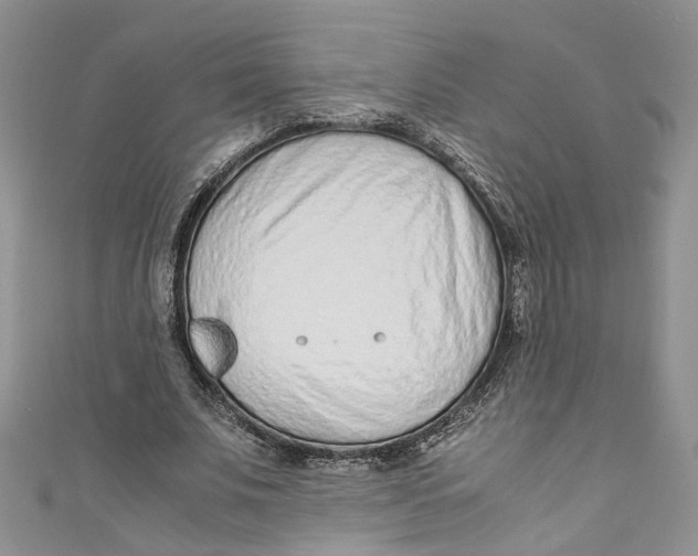 X0000110910679200907091437