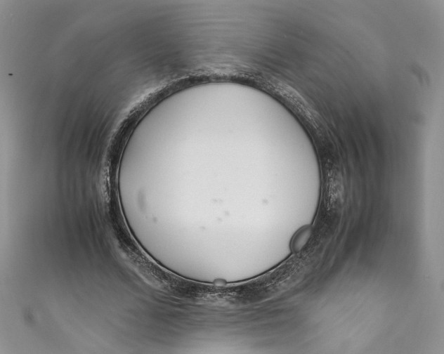 X0000110910680200907091437