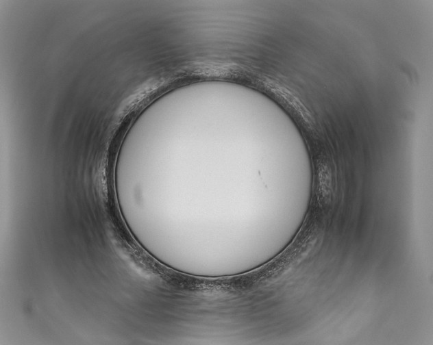 X0000110910682200907091437