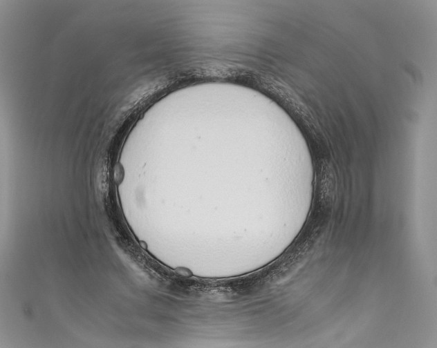 X0000110910683200907091437