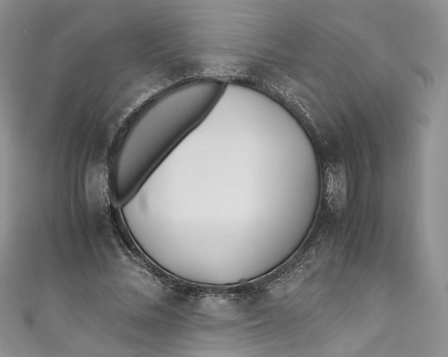 X0000110910684200907091437