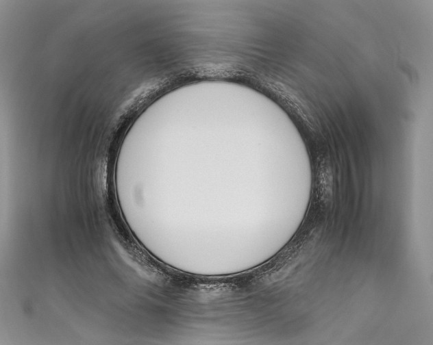 X0000110910686200907091437