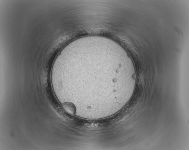 X0000110910687200907091437