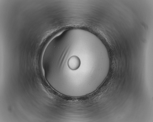 X0000110910688200907091437