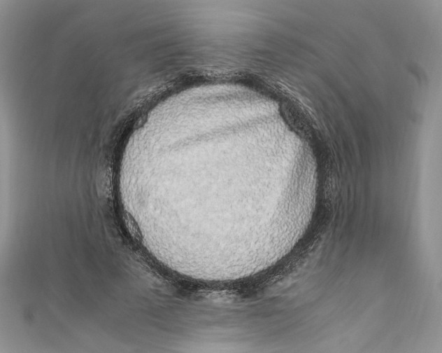 X0000110910689200907091437