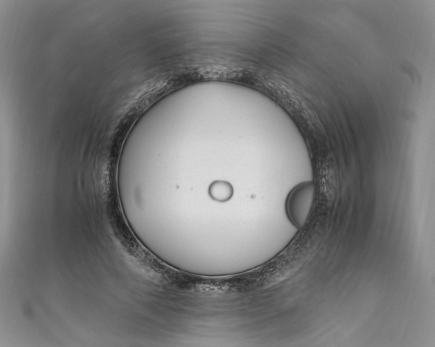 X0000110910690200907091437