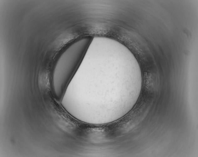 X0000110910692200907091437