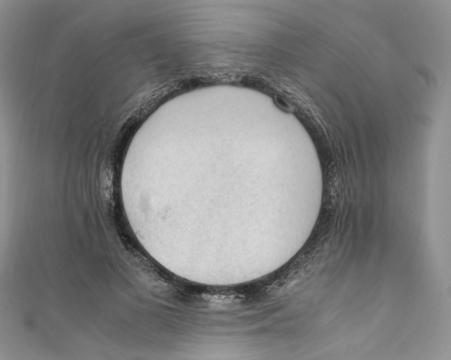 X0000110910693200907091437