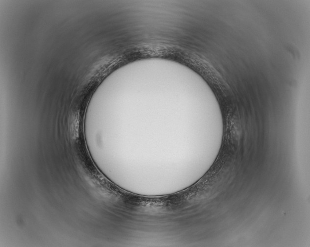 X0000110910694200907091437