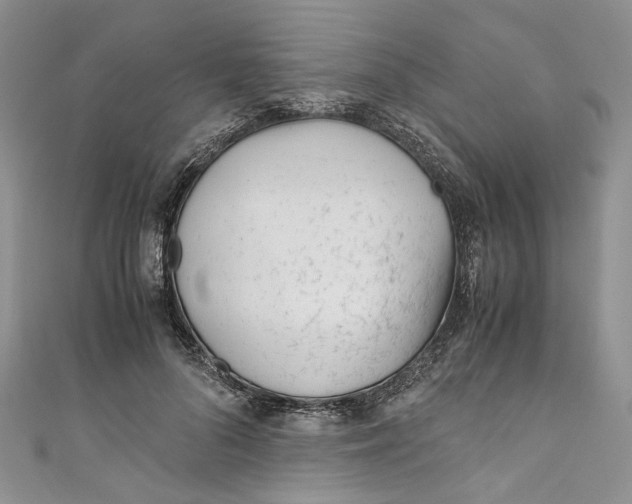 X0000110910696200907091437