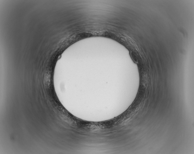 X0000110910697200907091437