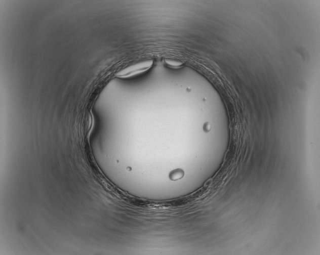 X0000110910701200907091437