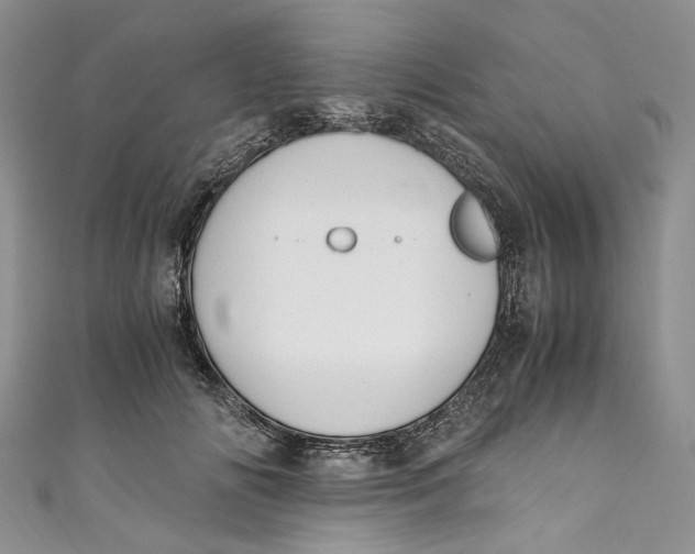 X0000110910702200907091437