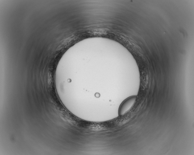 X0000110910704200907091437