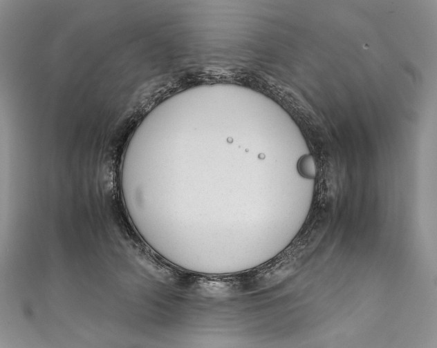 X0000110910706200907091437