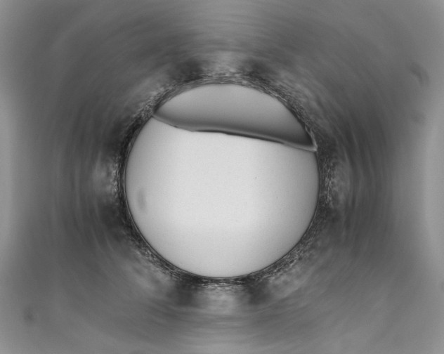 X0000110910708200907091437