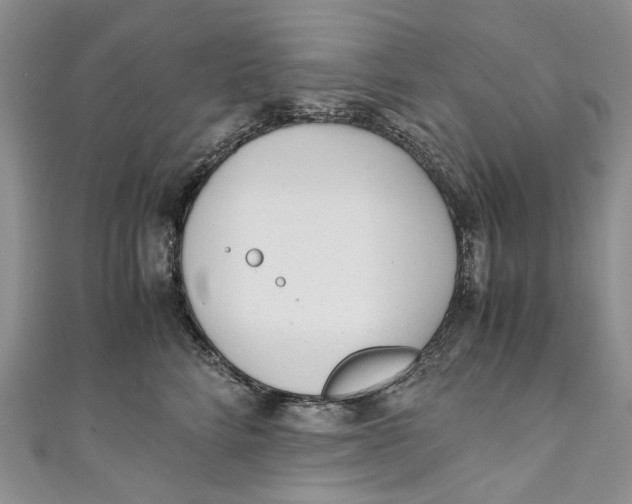 X0000110910712200907091437