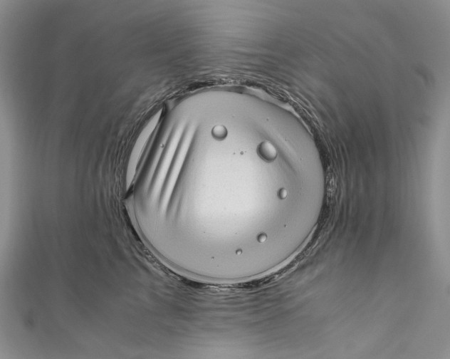 X0000110910713200907091436