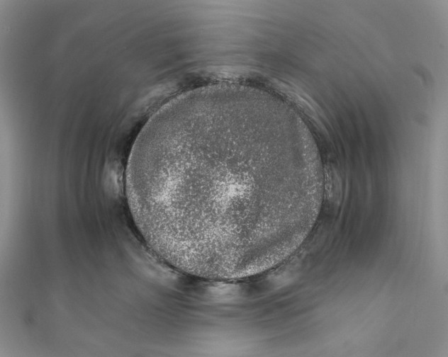 X0000110910718200907091436