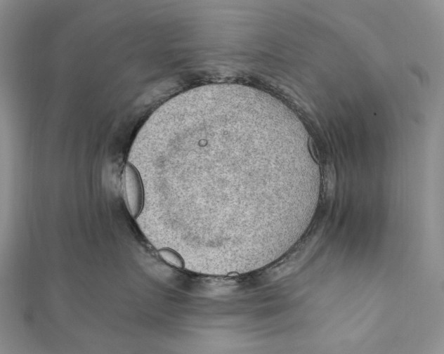 X0000110910719200907091436