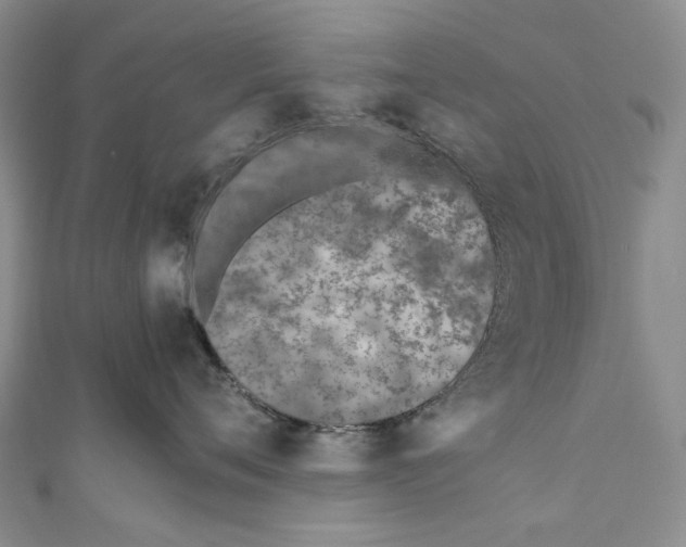 X0000110910720200907091436