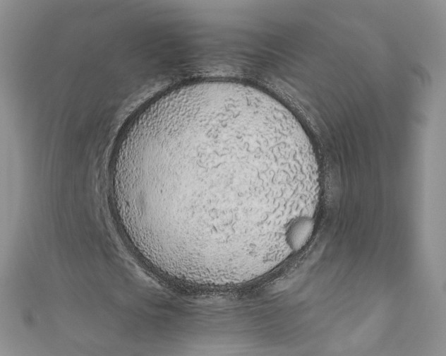 X0000110910721200907091436