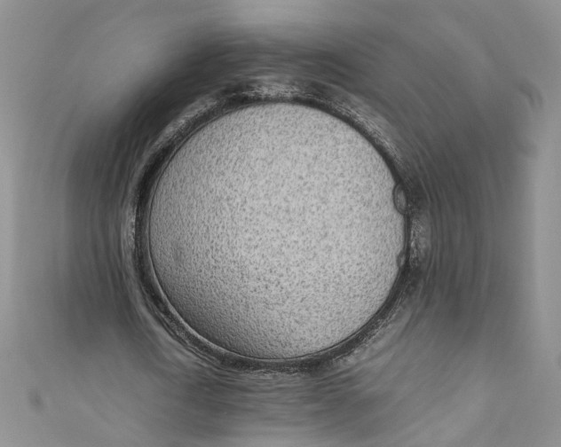 X0000110910722200907091436