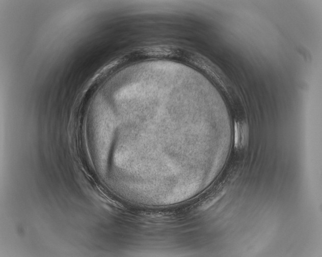 X0000110910723200907091436