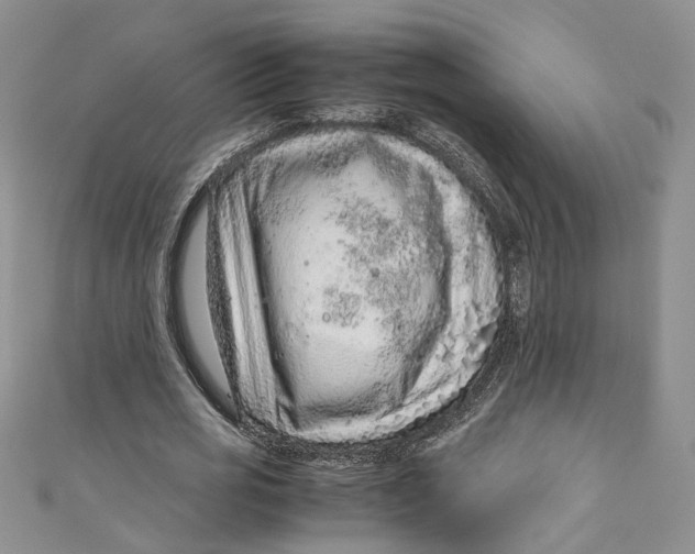 X0000110910725200907091436