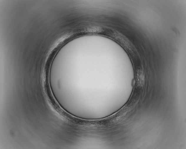 X0000110910726200907091436