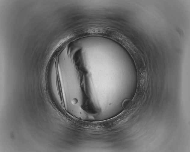 X0000110910727200907091436