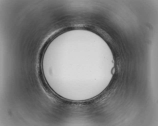 X0000110910728200907091436