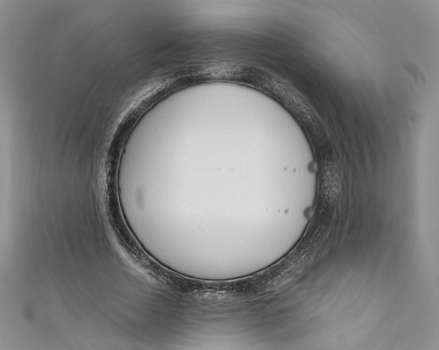 X0000110910730200907091436