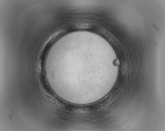 X0000110910731200907091436