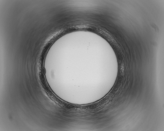 X0000110910732200907091436