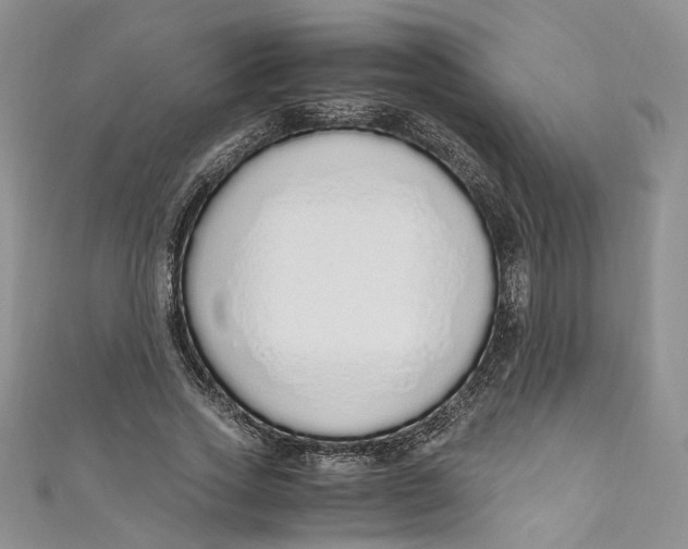 X0000110910733200907091436