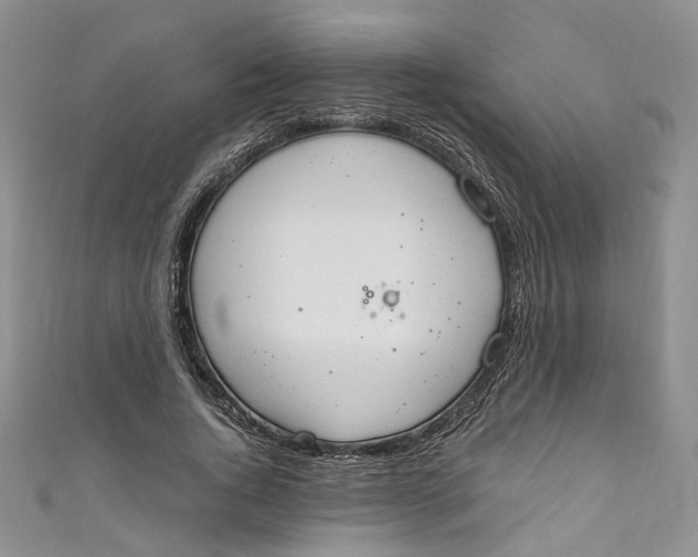 X0000110910736200907091436