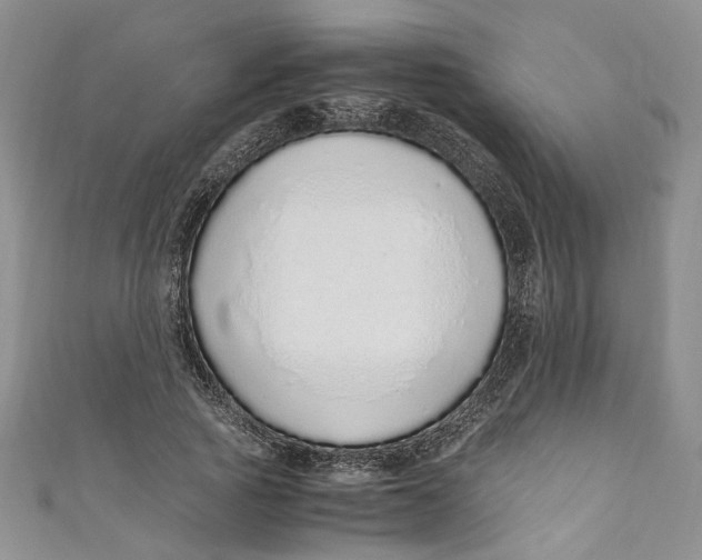 X0000110910737200907091436