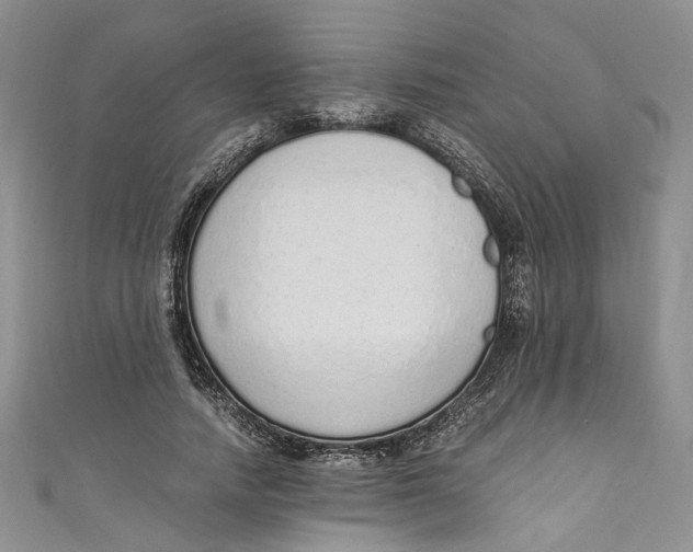 X0000110910738200907091436