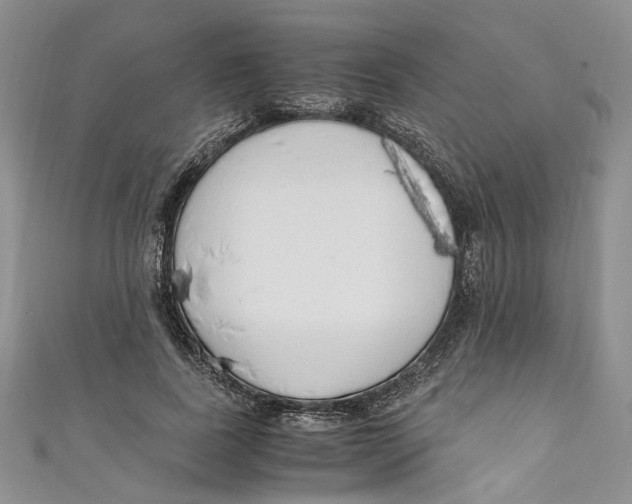 X0000110910739200907091436