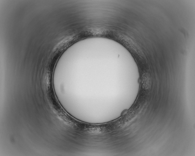 X0000110910740200907091436