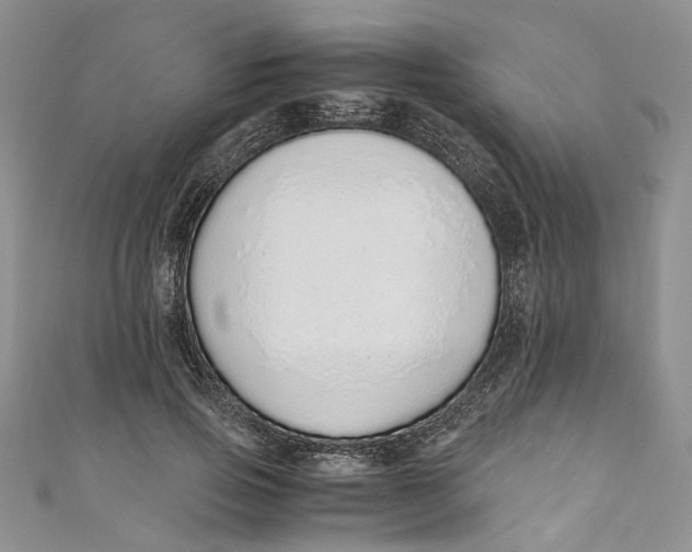 X0000110910741200907091436