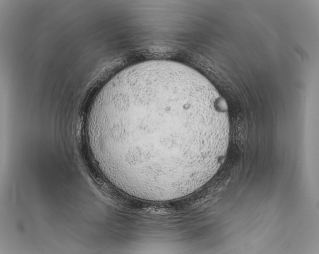 X0000110910742200907091436