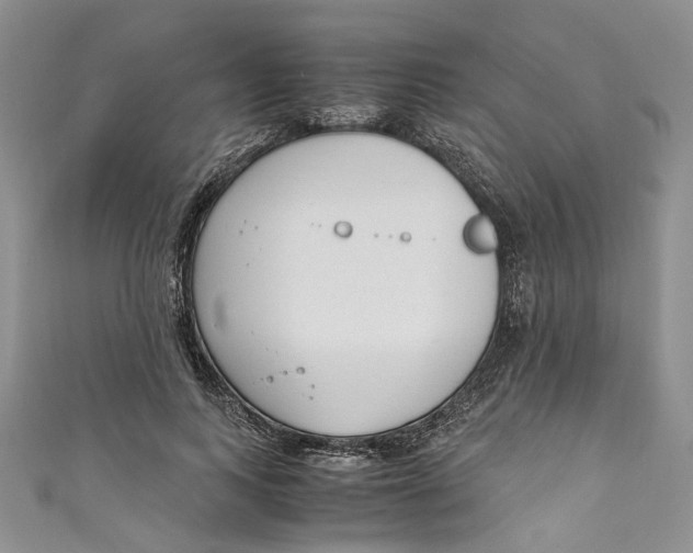 X0000110910743200907091436